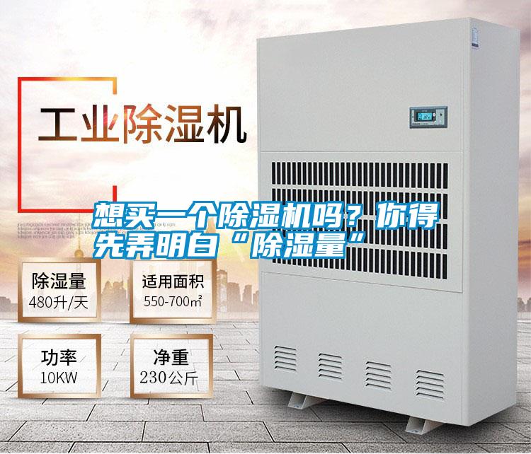 想買(mǎi)一個(gè)除濕機(jī)嗎？你得先弄明白“除濕量”