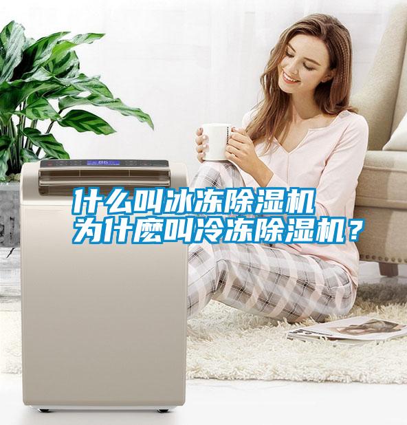 什么叫冰凍除濕機 為什麼叫冷凍除濕機？