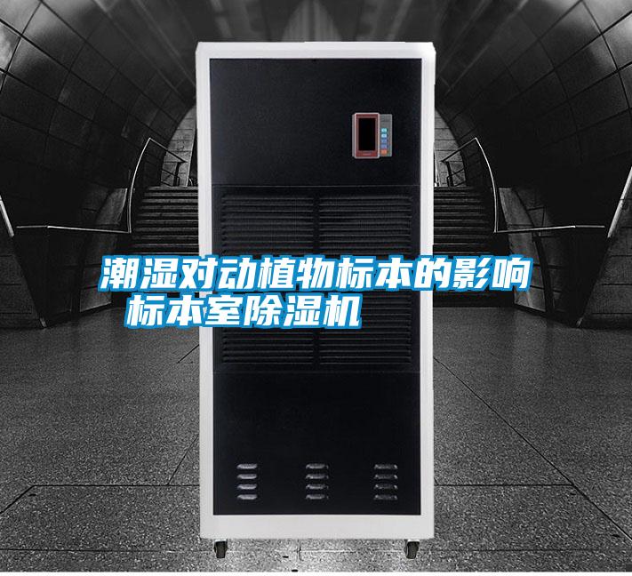 潮濕對動(dòng)植物標(biāo)本的影響 標(biāo)本室除濕機(jī)