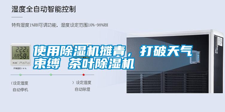 使用除濕機(jī)攤青，打破天氣束縛 茶葉除濕機(jī)