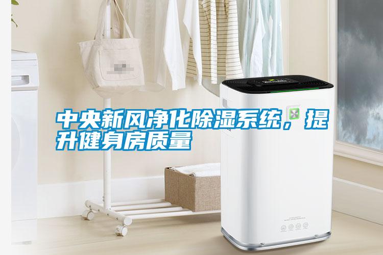 中央新風凈化除濕系統(tǒng)，提升健身房質(zhì)量