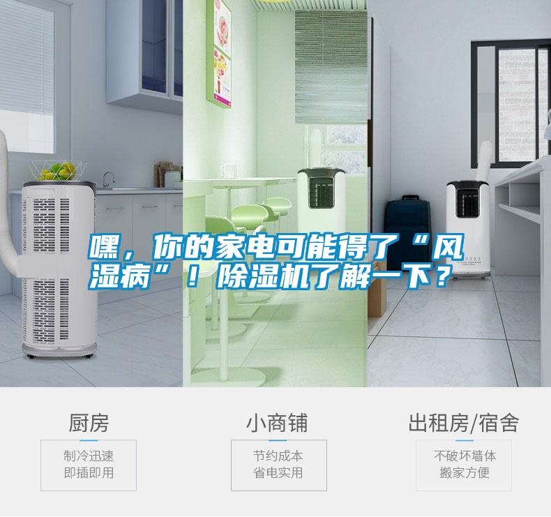 嘿，你的家電可能得了“風(fēng)濕病”！除濕機(jī)了解一下？