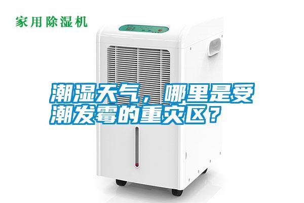 潮濕天氣，哪里是受潮發(fā)霉的重災(zāi)區(qū)？