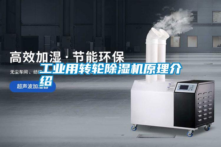 工業(yè)用轉輪除濕機原理介紹