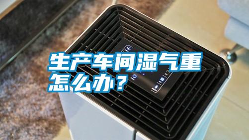 生產(chǎn)車間濕氣重怎么辦？