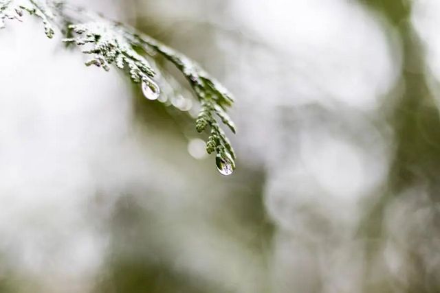 空氣濕度大帶來的危害有哪些，你知道嗎？