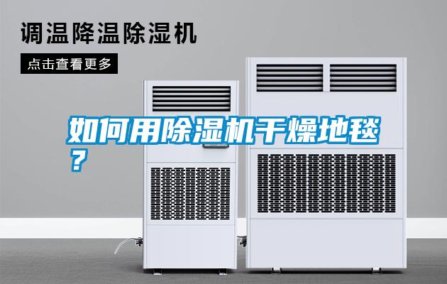 如何用除濕機(jī)干燥地毯？