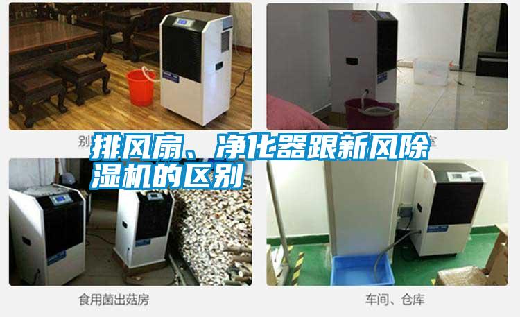 排風(fēng)扇、凈化器跟新風(fēng)除濕機(jī)的區(qū)別