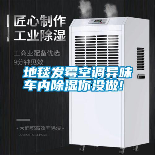 地毯發(fā)霉空調異味車內除濕你沒做!