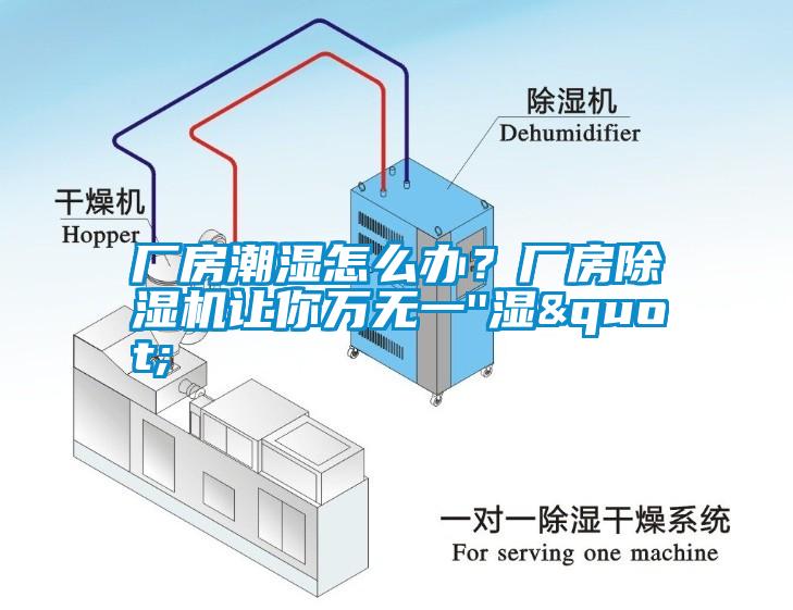 廠房潮濕怎么辦？廠房除濕機(jī)讓你萬無一''濕"