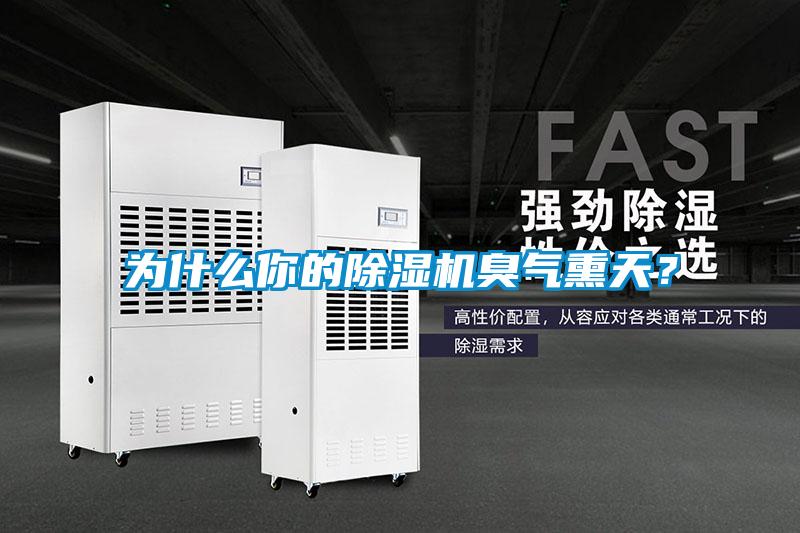 為什么你的除濕機(jī)臭氣熏天？