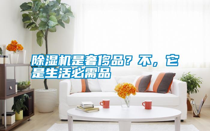 除濕機是奢侈品？不，它是生活必需品