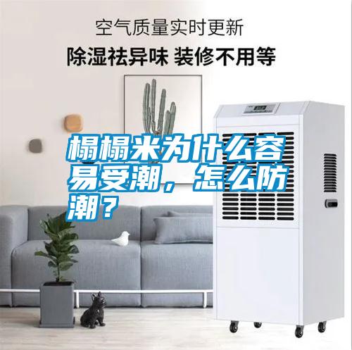 榻榻米為什么容易受潮，怎么防潮？