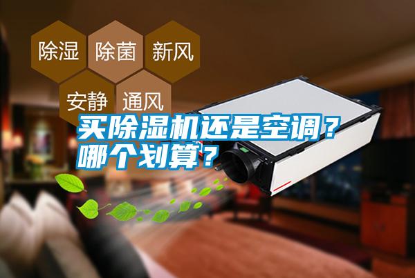 買除濕機(jī)還是空調(diào)？哪個(gè)劃算？