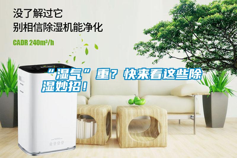 “濕氣”重？快來看這些除濕妙招！