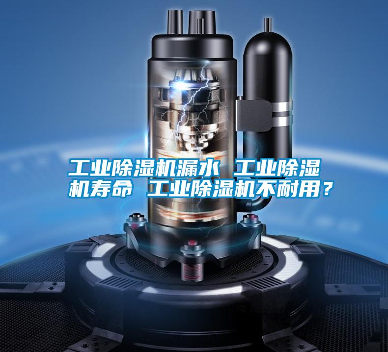 工業(yè)除濕機漏水 工業(yè)除濕機壽命 工業(yè)除濕機不耐用？