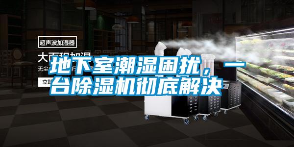 地下室潮濕困擾，一臺除濕機徹底解決