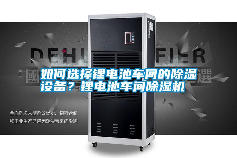 如何選擇鋰電池車間的除濕設(shè)備？鋰電池車間除濕機(jī)