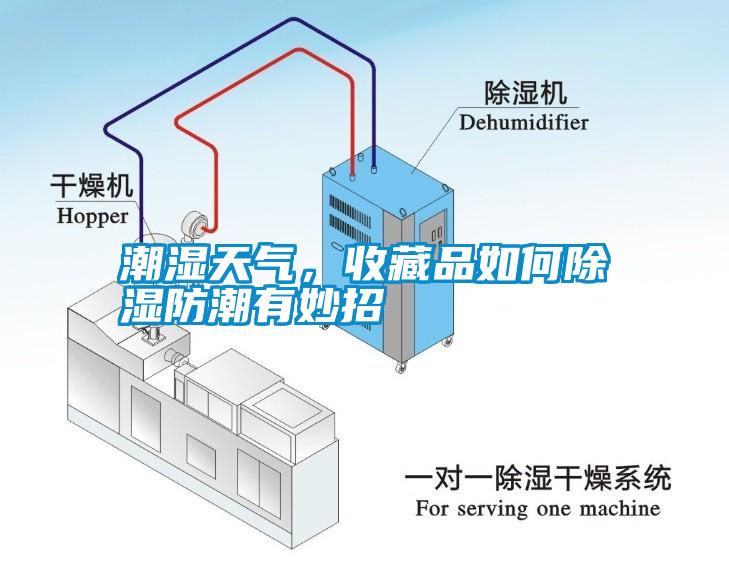 潮濕天氣，收藏品如何除濕防潮有妙招