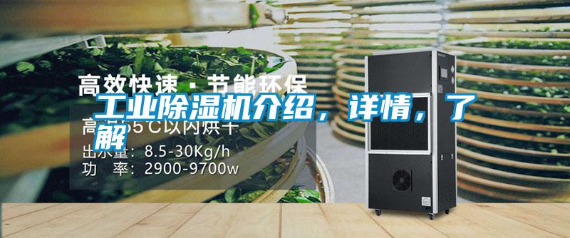 工業(yè)除濕機介紹，詳情，了解