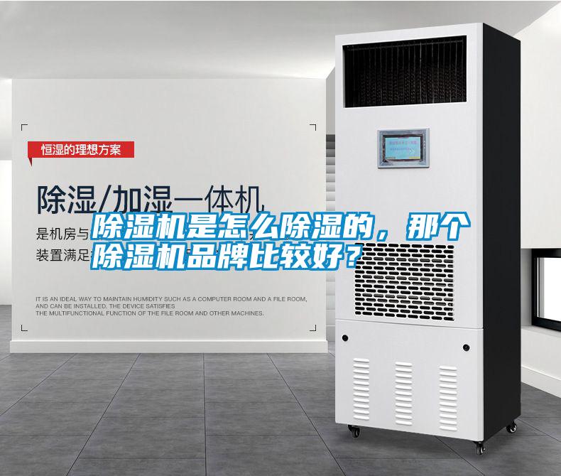 除濕機是怎么除濕的，那個除濕機品牌比較好？
