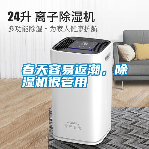 春天容易返潮，除濕機(jī)很管用