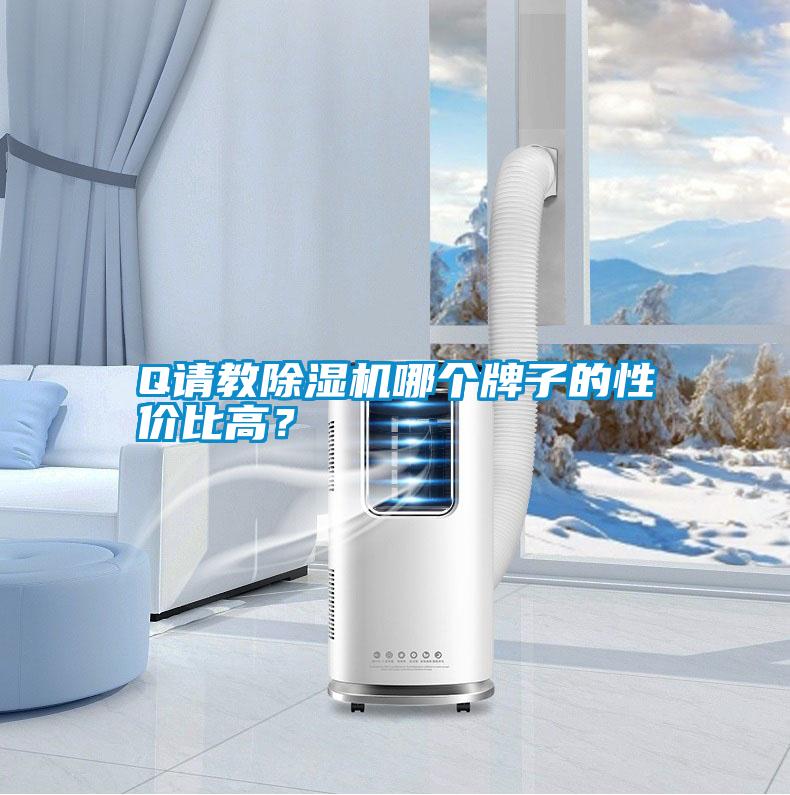 Q請(qǐng)教除濕機(jī)哪個(gè)牌子的性價(jià)比高？