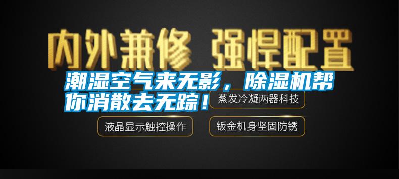 潮濕空氣來無影，除濕機幫你消散去無蹤！