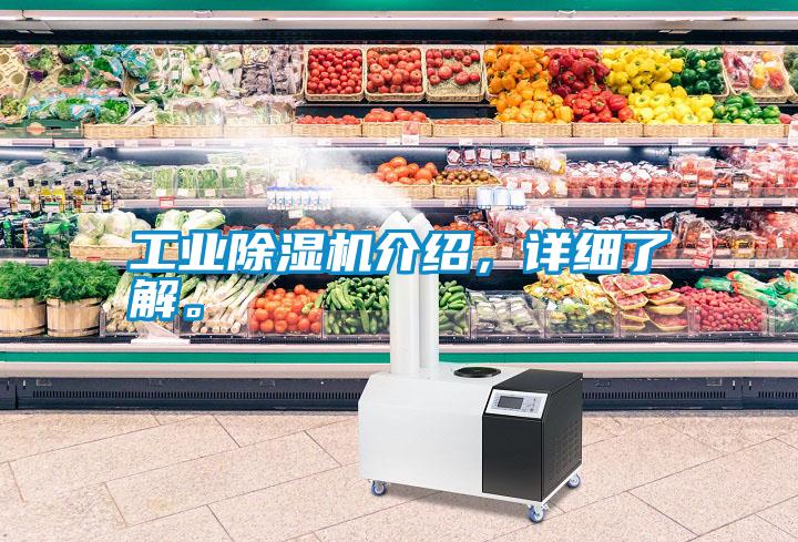 工業(yè)除濕機(jī)介紹，詳細(xì)了解。