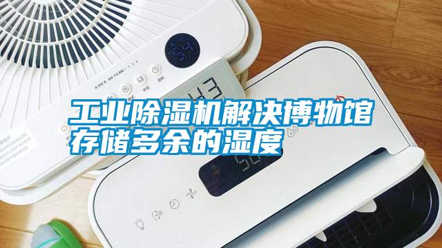 工業(yè)除濕機(jī)解決博物館存儲多余的濕度
