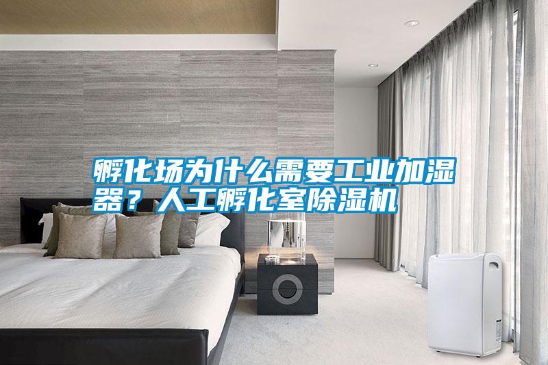 孵化場(chǎng)為什么需要工業(yè)加濕器？人工孵化室除濕機(jī)