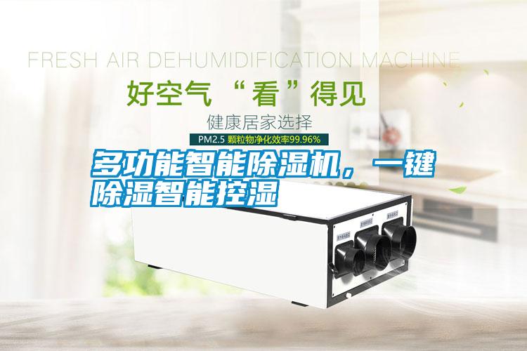 多功能智能除濕機(jī)，一鍵除濕智能控濕