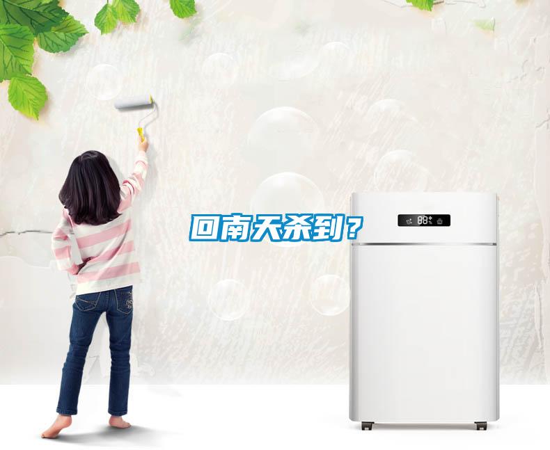 回南天殺到？