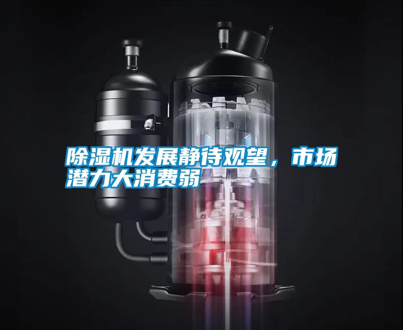 除濕機(jī)發(fā)展靜待觀望，市場(chǎng)潛力大消費(fèi)弱