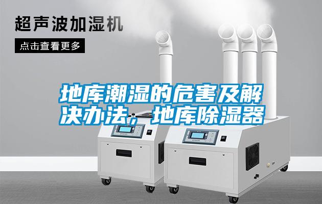 地庫潮濕的危害及解決辦法，地庫除濕器
