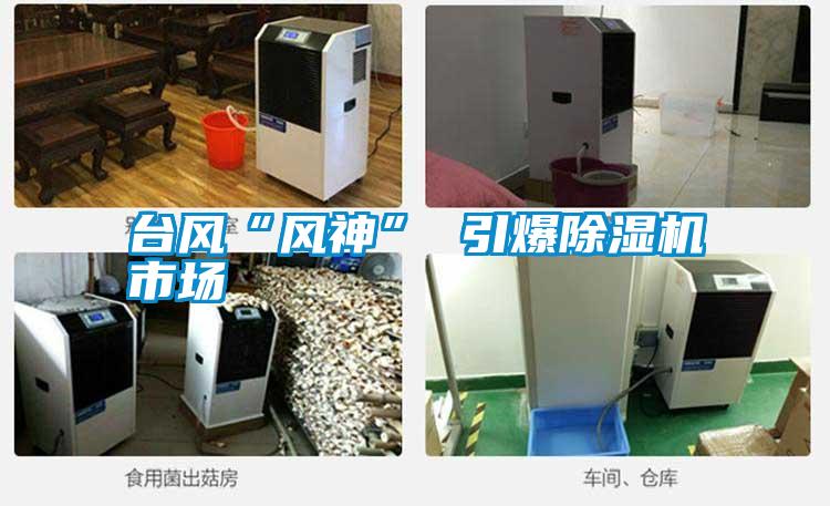 臺(tái)風(fēng)“風(fēng)神” 引爆除濕機(jī)市場