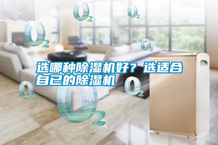 選哪種除濕機好？選適合自已的除濕機