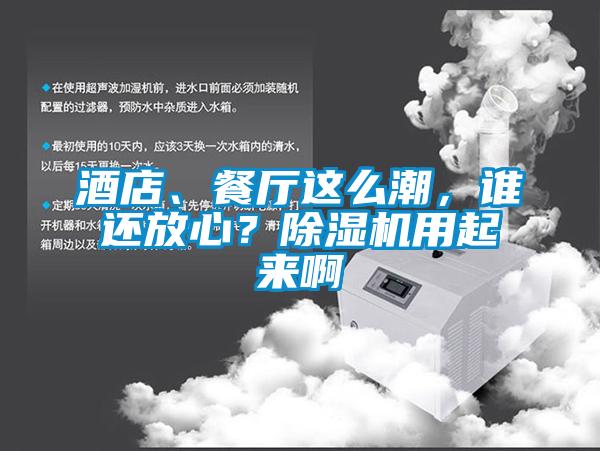 酒店、餐廳這么潮，誰還放心？除濕機用起來啊