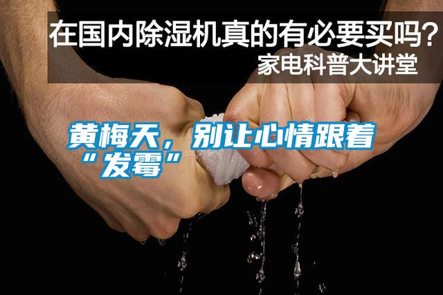 黃梅天，別讓心情跟著“發(fā)霉”
