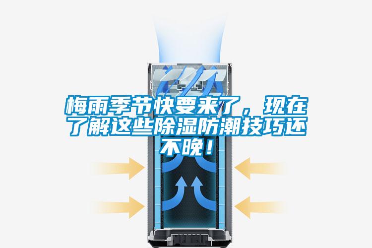 梅雨季節(jié)快要來了，現(xiàn)在了解這些除濕防潮技巧還不晚！