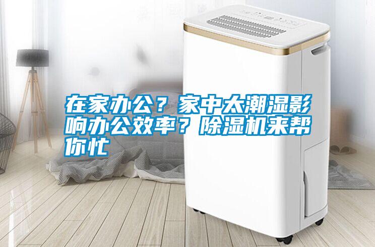在家辦公？家中太潮濕影響辦公效率？除濕機(jī)來幫你忙