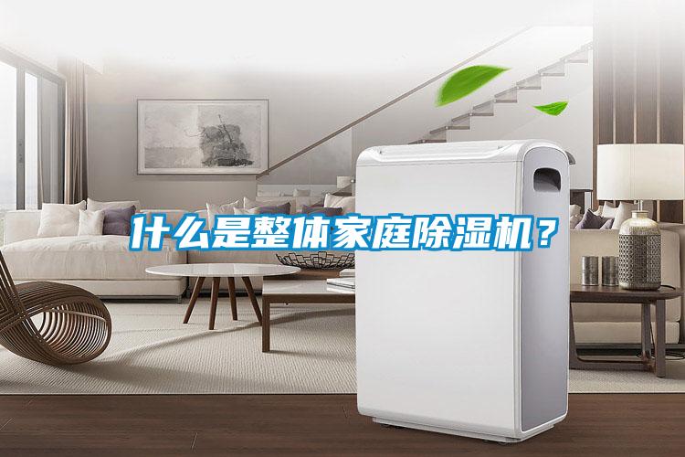什么是整體家庭除濕機？