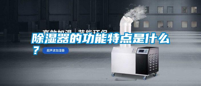 除濕器的功能特點(diǎn)是什么？
