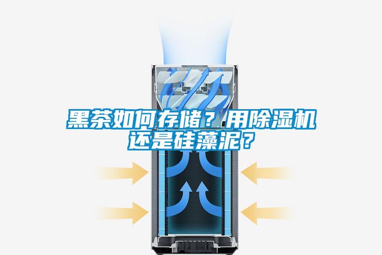 黑茶如何存儲？用除濕機(jī)還是硅藻泥？