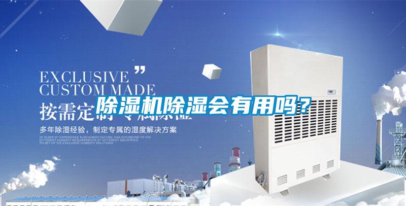 除濕機除濕會有用嗎？