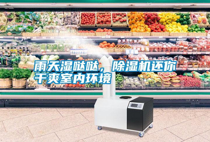 雨天濕噠噠，除濕機(jī)還你干爽室內(nèi)環(huán)境