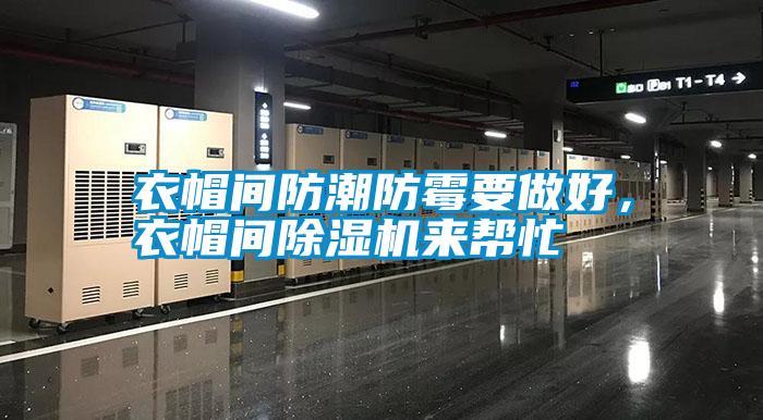 衣帽間防潮防霉要做好，衣帽間除濕機(jī)來幫忙
