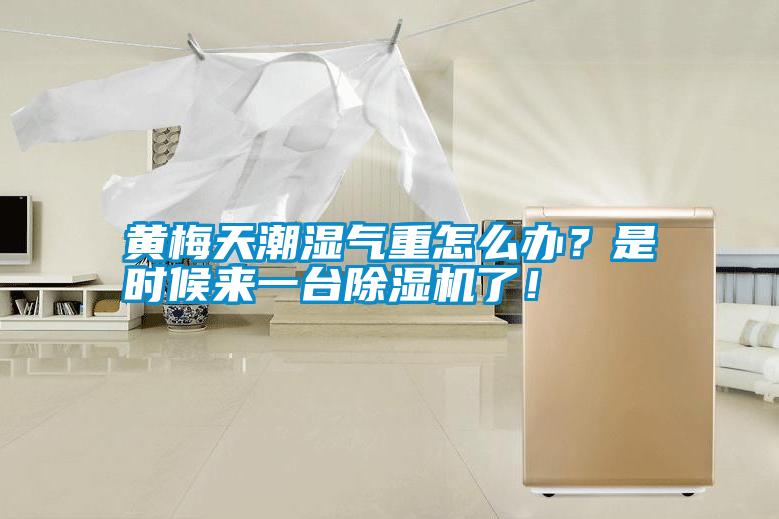 黃梅天潮濕氣重怎么辦？是時(shí)候來一臺(tái)除濕機(jī)了！