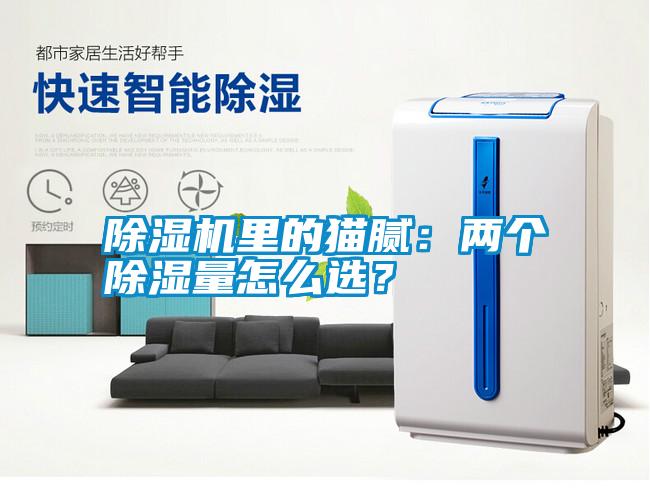 除濕機(jī)里的貓膩：兩個除濕量怎么選？