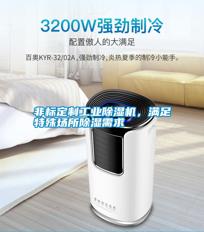非標(biāo)定制工業(yè)除濕機(jī)，滿足特殊場所除濕需求